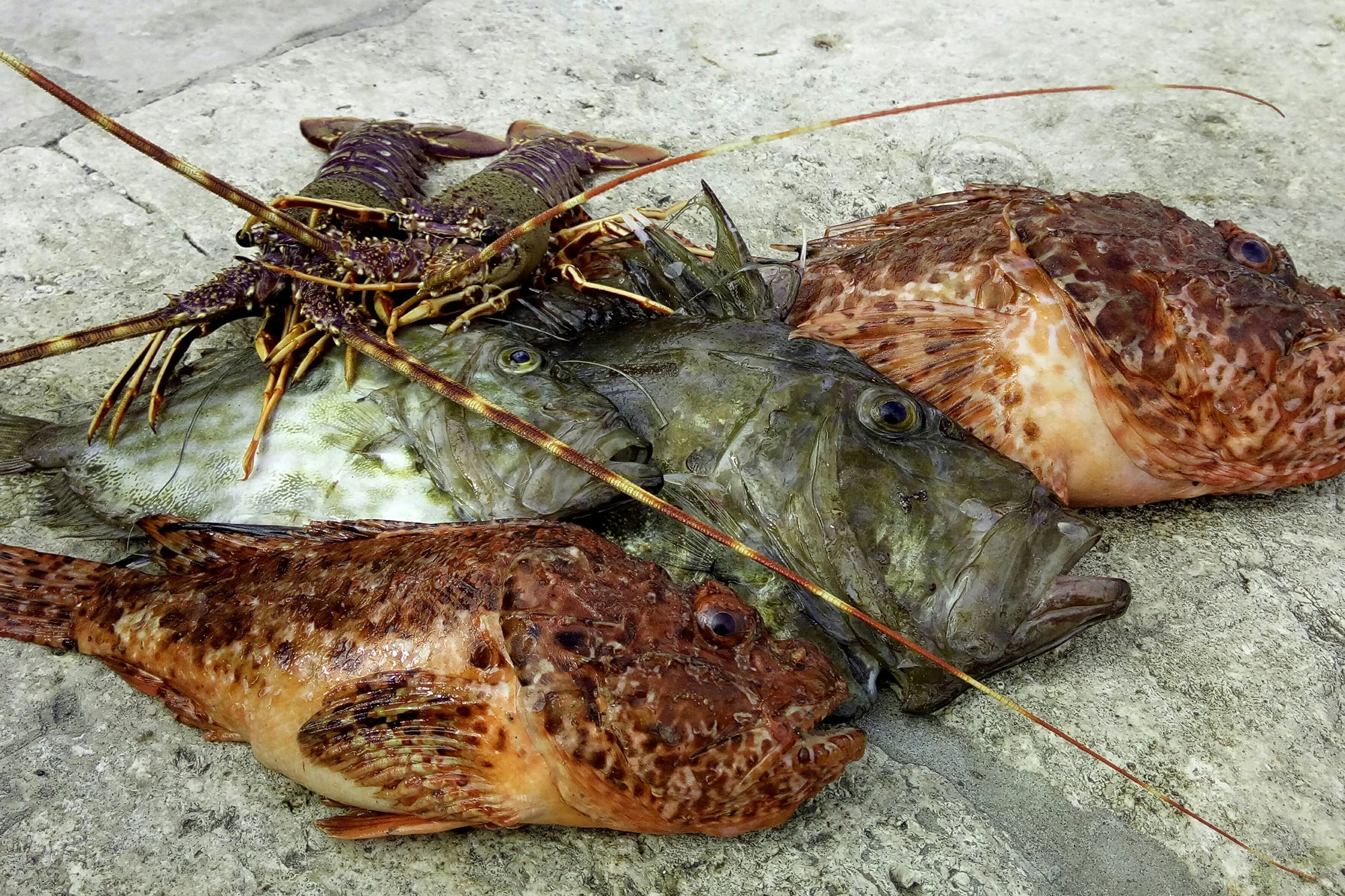 Eat As Locals Do: A True Culinary Delight