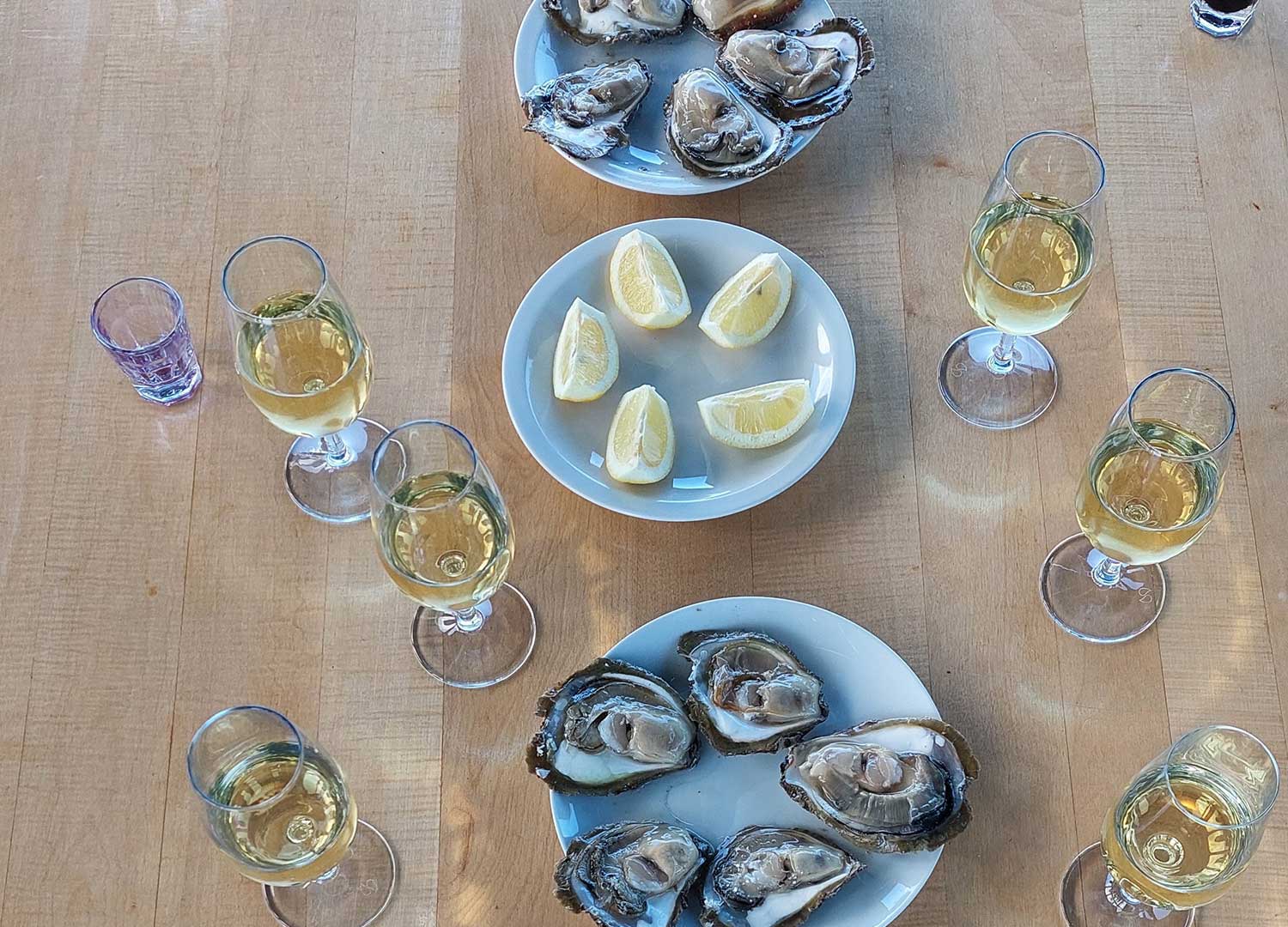 oyster
